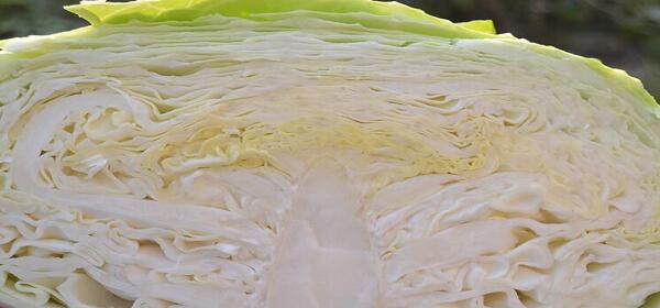 1760174569.jpg tupian_baocai2.jpg