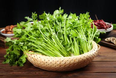 香芹西芹老是分不清?惠州食材配送中心教你區分!