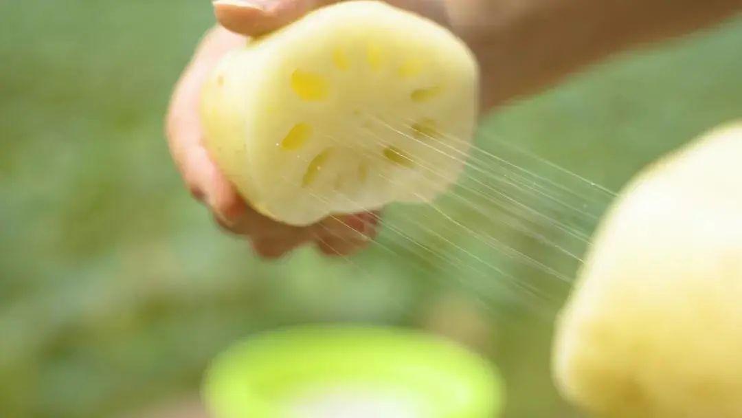 藕斷為什么會絲連呢，東莞食材生鮮配送中心與您談一談